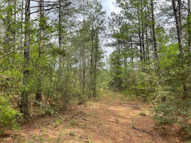 0000 CENTERVILLE RD, MAGNOLIA, MS 39652, photo 1 of 14