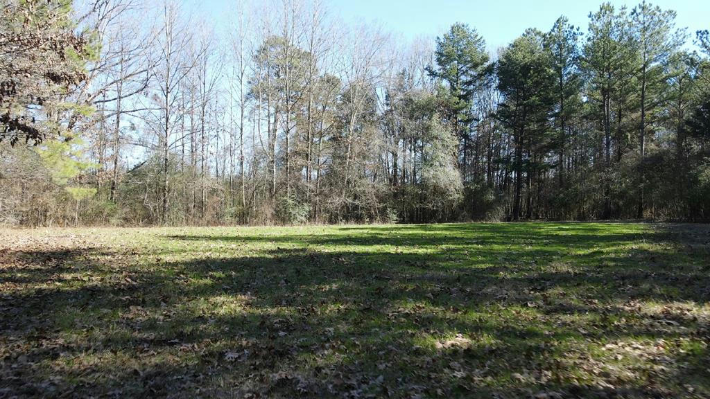 LOT #4 MONTICELLO ROAD, WESSON, MS 39191, photo 1 of 11