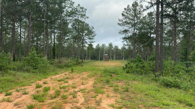 0 MEADVILLE ROAD, LIBERTY, MS 39645 - Image 1