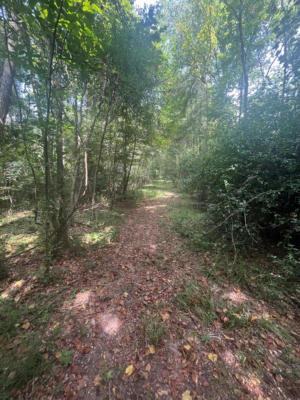 0000 WELLS LN, WOODVILLE, MS 39664 - Image 1