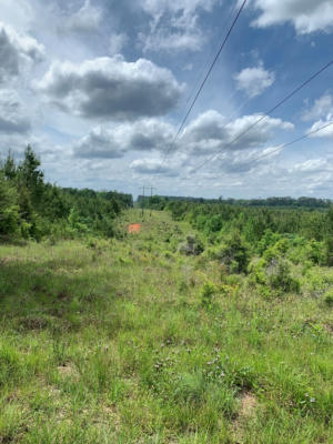 . NEAL POSEY ROAD, MCCALL CREEK, MS 39647, photo 2 of 21