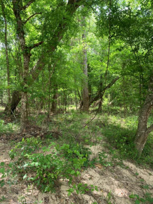 0000 LOW WATER BRIDGE RD SE, MEADVILLE, MS 39653, photo 3 of 6