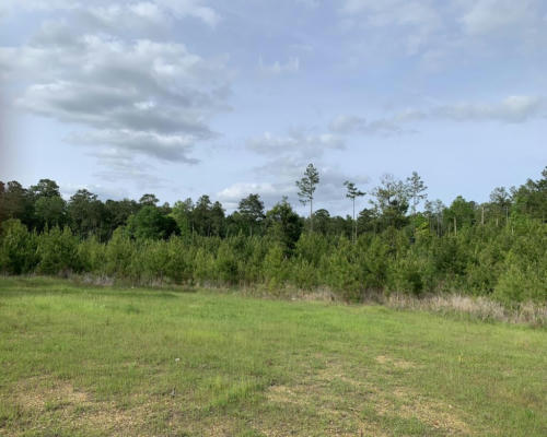 . MACEDONIA RD, CROSBY, MS 39633 - Image 1