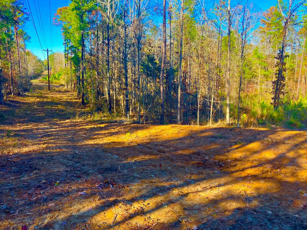 1000 CLINE RD, WESSON, MS 39191, photo 1 of 7