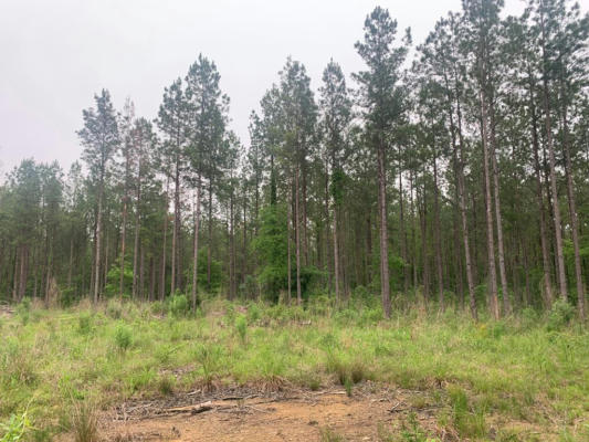 0000 GARY TRAIL, WESSON, MS 39191, photo 4 of 10