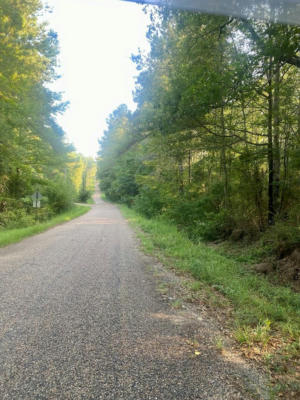 000 HULON BRISTER ROAD, JAYESS, MS 39641 - Image 1