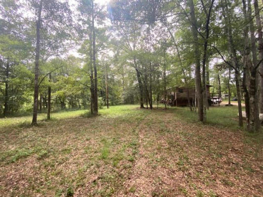 TBD SWEETWATER RD, TYLERTOWN, MS 39667 - Image 1