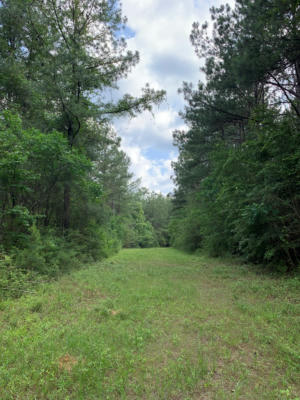 . PICKWICK RD, FOXWORTH, MS 39483, photo 4 of 68