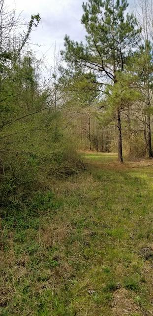 0 CROOKED CREEK ROAD, SILVER CREEK, MS 39663, photo 2 of 12