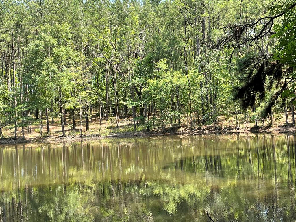 NA RESERVOIR ROAD, OTHER, MS 39367, photo 1 of 26