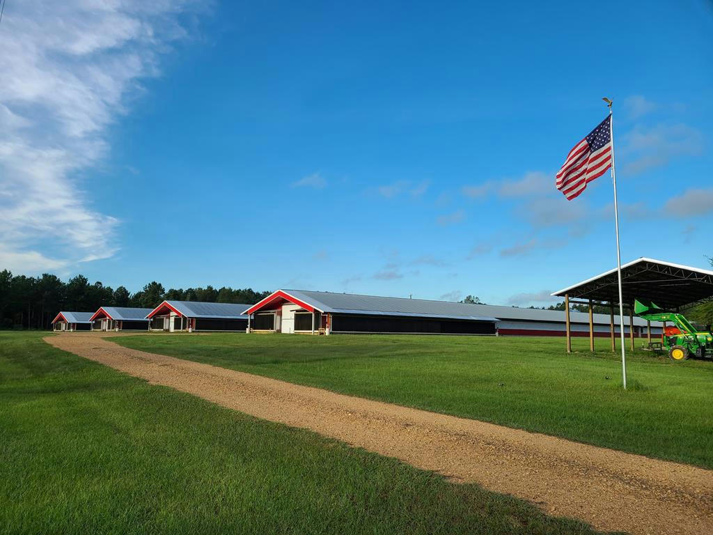 1058 MONROE GREENE RD, MAGNOLIA, MS 39652, photo 1 of 51