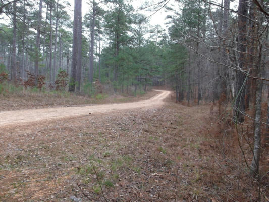 TBD HOMOCHITTO FORREST RD. 104D, MEADVILLE, MS 39653, photo 2 of 2