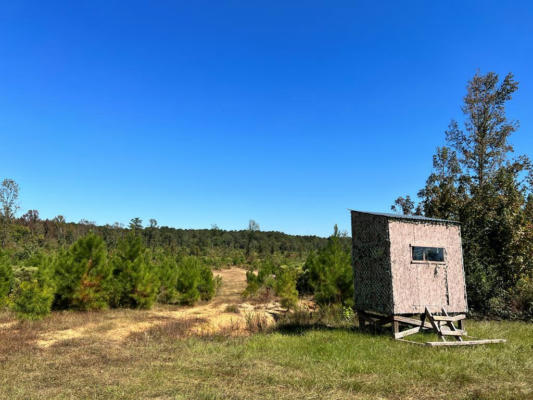 00 HIGHWAY 48, CENTREVILLE, MS 39631, photo 2 of 60