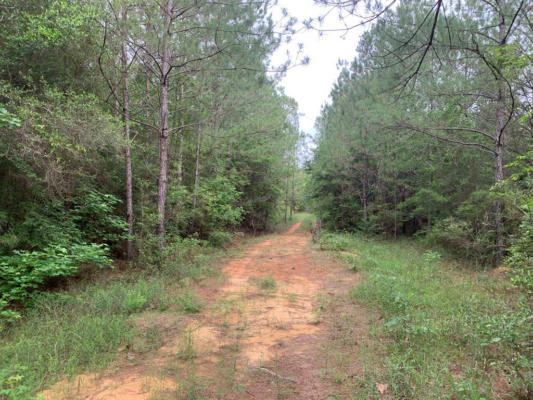 0000 TIMBERLANE ROAD, WESSON, MS 39191, photo 2 of 17