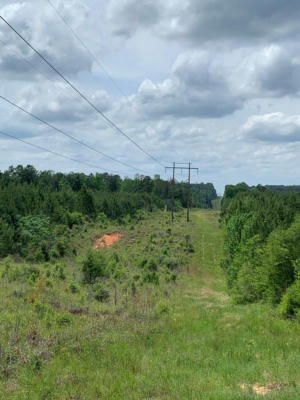 . NEAL POSEY ROAD, MCCALL CREEK, MS 39647, photo 4 of 21