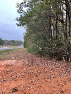 TBD MARTIN LUTHER KING DRIVE, SUMMIT, MS 39666, photo 4 of 5