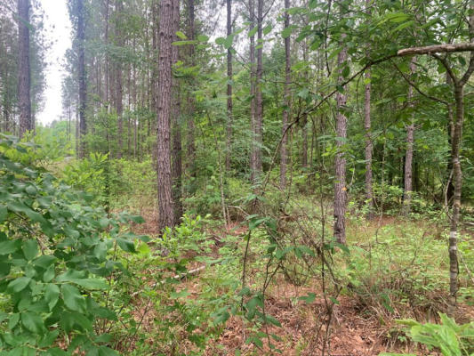 0000 GARY TRAIL, WESSON, MS 39191, photo 3 of 10