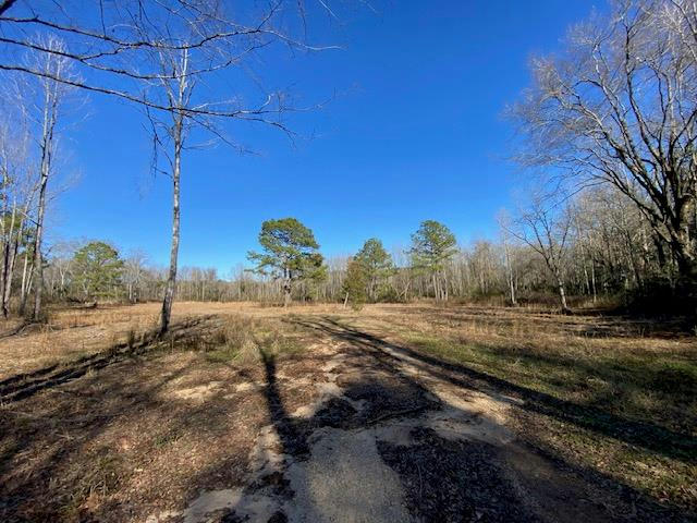 40 CLARENCE BULLOCK RD, TYLERTOWN, MS 39667, photo 1 of 13
