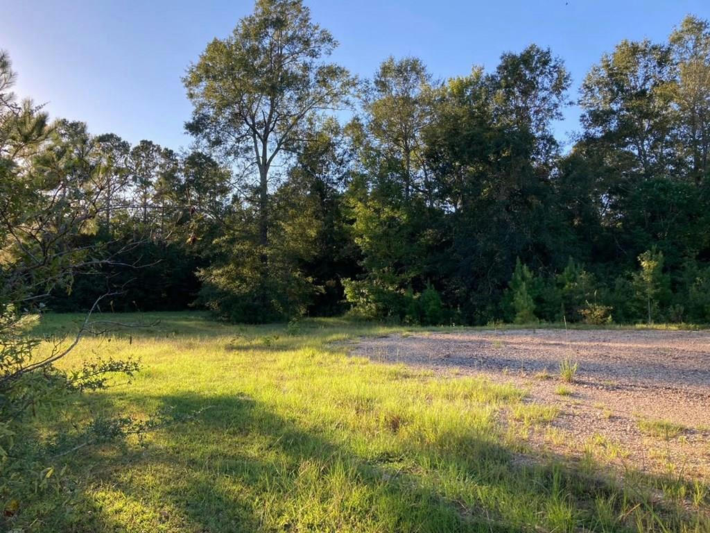 LOT #14 CHASE DRIVE, MCCOMB, MS 39648, photo 1 of 6