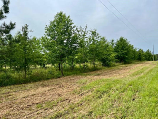 LOT 1 SPENCER TRL, BOGUE CHITTO, MS 39629, photo 3 of 4