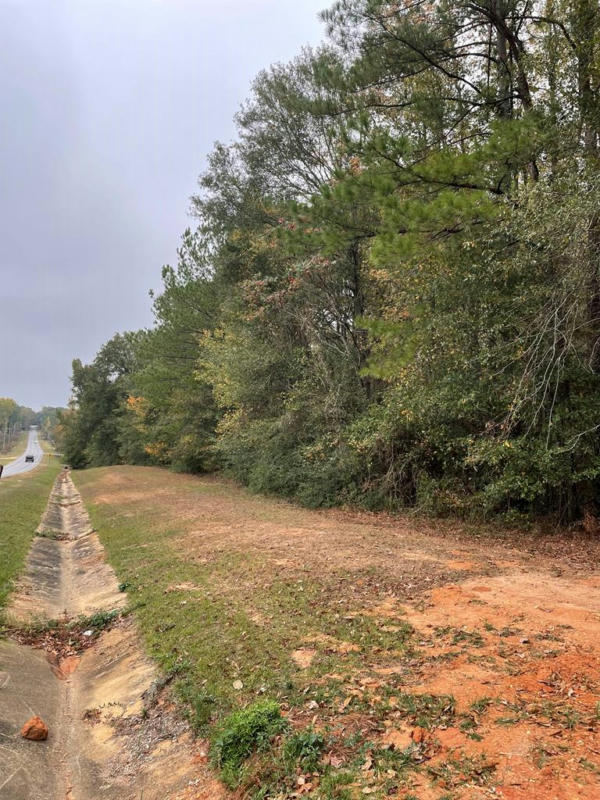 TBD MARTIN LUTHER KING DRIVE, SUMMIT, MS 39666, photo 1 of 5