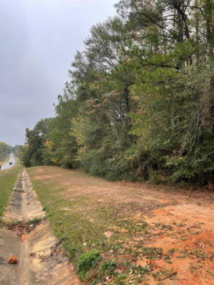 TBD MARTIN LUTHER KING DRIVE, SUMMIT, MS 39666 - Image 1