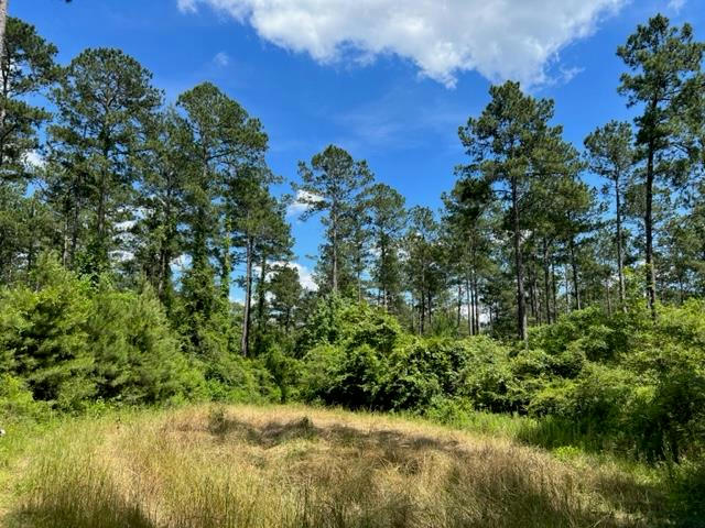 TBD STOGNER RD, TYLERTOWN, MS 39478, photo 1 of 6