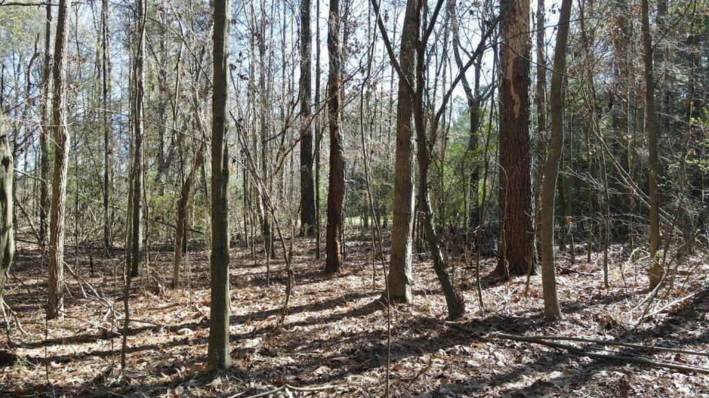 LOT #5 MONTICELLO ROAD, WESSON, MS 39191, photo 1 of 7