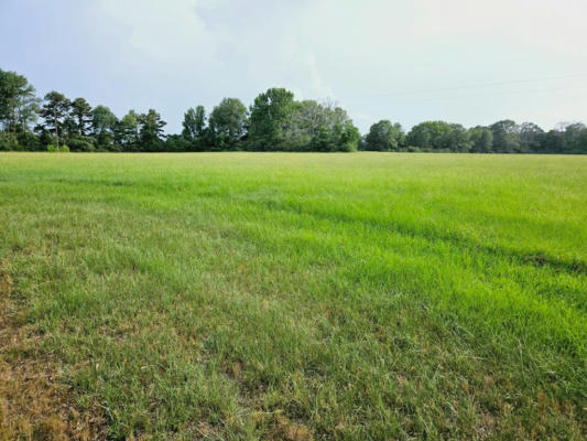 0 MACEDONIA RD NW, BROOKHAVEN, MS 39601 - Image 1