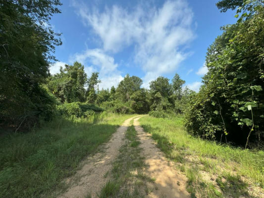 TBD LAYTON JONES RD, MENDENHALL, MS 39114 - Image 1