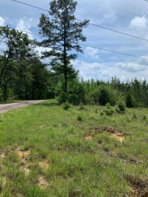 . NEAL POSEY ROAD, MCCALL CREEK, MS 39647, photo 3 of 21