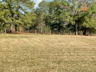 3865 MONCURE MARBLE RD, TERRY, MS 39170, photo 3 of 6