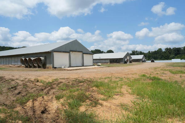 10671 HIGHWAY 427, PHILADELPHIA, MS 39350 - Image 1